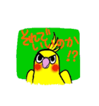 オカメインコのルビー（個別スタンプ：27）