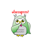 Little Owl of Myanmar（個別スタンプ：5）