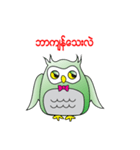 Little Owl of Myanmar（個別スタンプ：16）