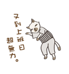 cat's grumble（個別スタンプ：22）