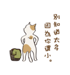 cat's grumble（個別スタンプ：33）