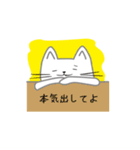 動く！サングラスねこ（個別スタンプ：4）