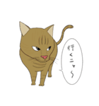 猫活（個別スタンプ：1）