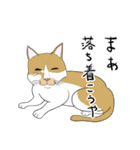 猫活（個別スタンプ：6）