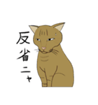 猫活（個別スタンプ：7）