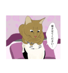 猫活（個別スタンプ：11）