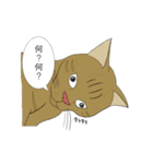 猫活（個別スタンプ：13）