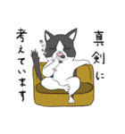 猫活（個別スタンプ：18）