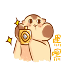 A hamster names BenBen ！（個別スタンプ：23）