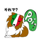 イタリア語かいわんこ 3（個別スタンプ：9）