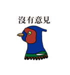 NDHU Blue Bird(ring-necked pheasant)（個別スタンプ：1）