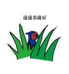 NDHU Blue Bird(ring-necked pheasant)（個別スタンプ：3）