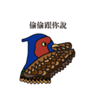 NDHU Blue Bird(ring-necked pheasant)（個別スタンプ：5）