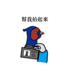 NDHU Blue Bird(ring-necked pheasant)（個別スタンプ：6）