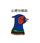 NDHU Blue Bird(ring-necked pheasant)（個別スタンプ：8）