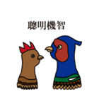 NDHU Blue Bird(ring-necked pheasant)（個別スタンプ：11）