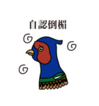 NDHU Blue Bird(ring-necked pheasant)（個別スタンプ：15）