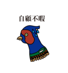 NDHU Blue Bird(ring-necked pheasant)（個別スタンプ：16）