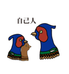 NDHU Blue Bird(ring-necked pheasant)（個別スタンプ：18）