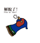 NDHU Blue Bird(ring-necked pheasant)（個別スタンプ：19）