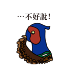 NDHU Blue Bird(ring-necked pheasant)（個別スタンプ：23）