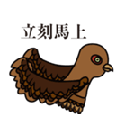 NDHU Blue Bird(ring-necked pheasant)（個別スタンプ：24）