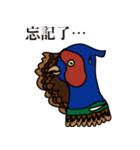 NDHU Blue Bird(ring-necked pheasant)（個別スタンプ：27）