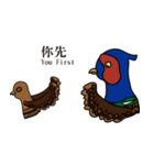 NDHU Blue Bird(ring-necked pheasant)（個別スタンプ：29）