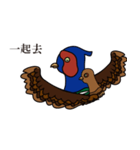 NDHU Blue Bird(ring-necked pheasant)（個別スタンプ：30）