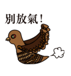 NDHU Blue Bird(ring-necked pheasant)（個別スタンプ：32）