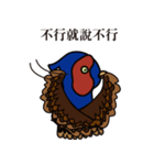 NDHU Blue Bird(ring-necked pheasant)（個別スタンプ：36）