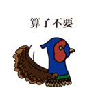 NDHU Blue Bird(ring-necked pheasant)（個別スタンプ：38）