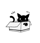 Shadow cat2（個別スタンプ：18）