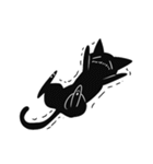 Shadow cat2（個別スタンプ：20）