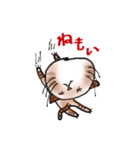 Bromance cats こむぎとおいも（個別スタンプ：28）