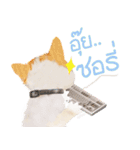 What Dose The Cat Say？（個別スタンプ：12）