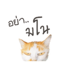 What Dose The Cat Say？（個別スタンプ：18）