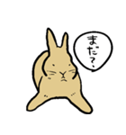 うさぎのむぎちゃ（個別スタンプ：8）