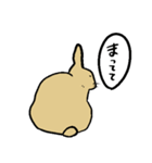 うさぎのむぎちゃ（個別スタンプ：9）