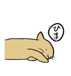 うさぎのむぎちゃ（個別スタンプ：15）