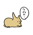 うさぎのむぎちゃ（個別スタンプ：34）