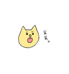 にゃんきちです（個別スタンプ：5）