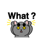 Funny cat will greet（個別スタンプ：21）