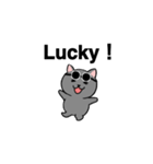 Funny cat will greet（個別スタンプ：23）