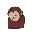 Bana The Monkey（個別スタンプ：14）