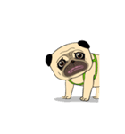 Mao Whatta Pug 2（個別スタンプ：10）