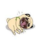 Mao Whatta Pug 2（個別スタンプ：16）