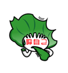 WOW！ Come to eat Fresh Vegetables（個別スタンプ：28）