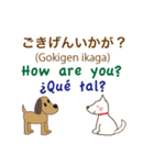 日本語、英語、スペイン語を話す犬（個別スタンプ：6）