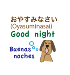 日本語、英語、スペイン語を話す犬（個別スタンプ：13）